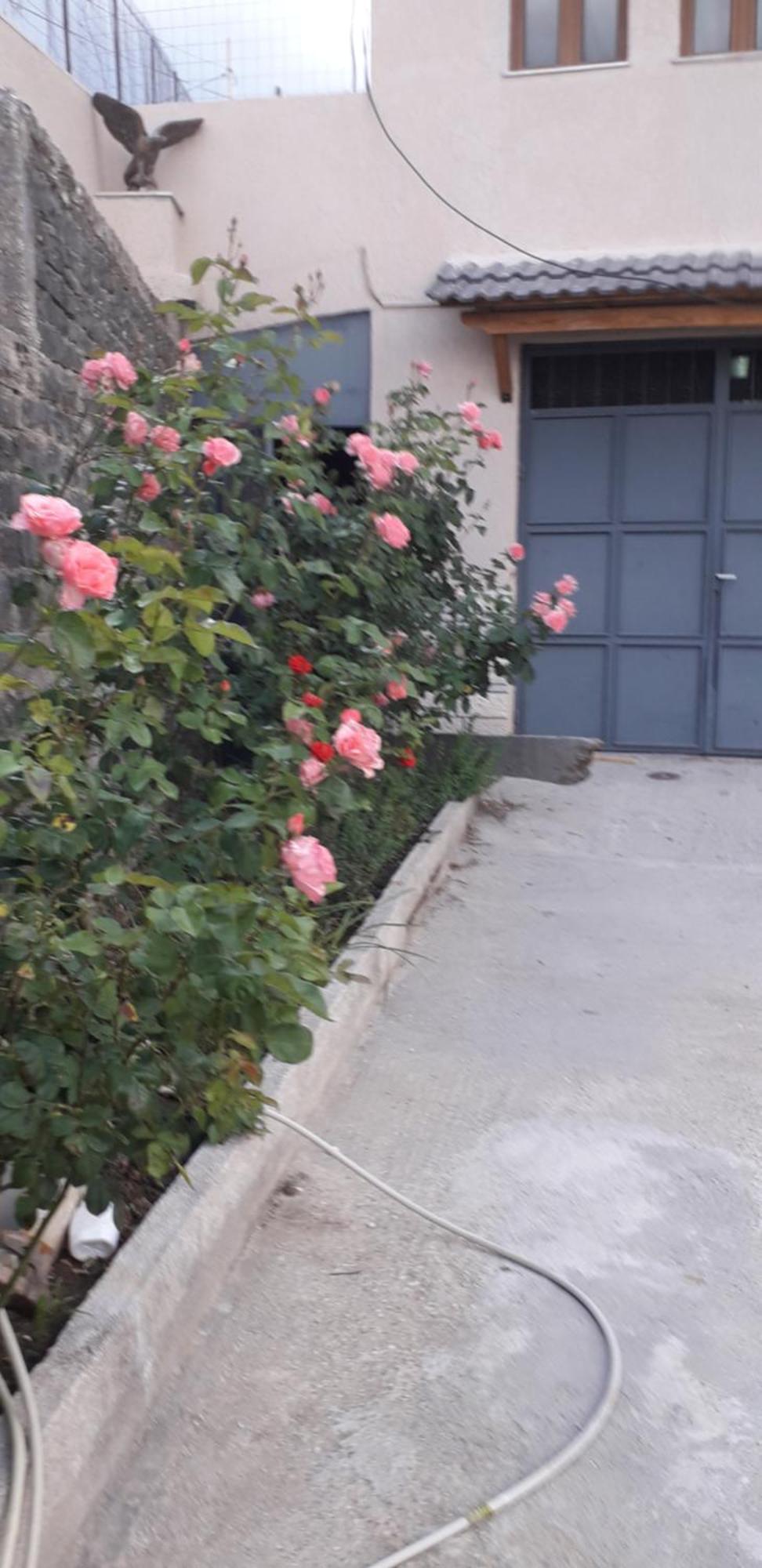 Shena Guest House Gjirokastër Buitenkant foto